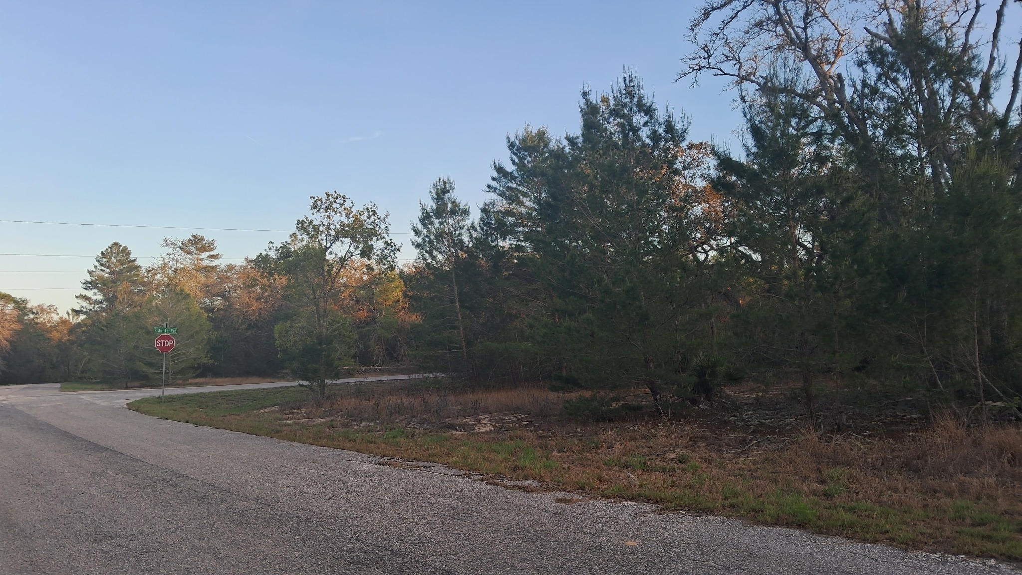 Fisher Way Drive location view 3