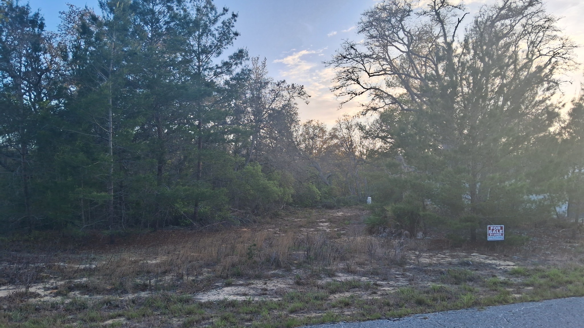 Fisher Way Drive location view 4