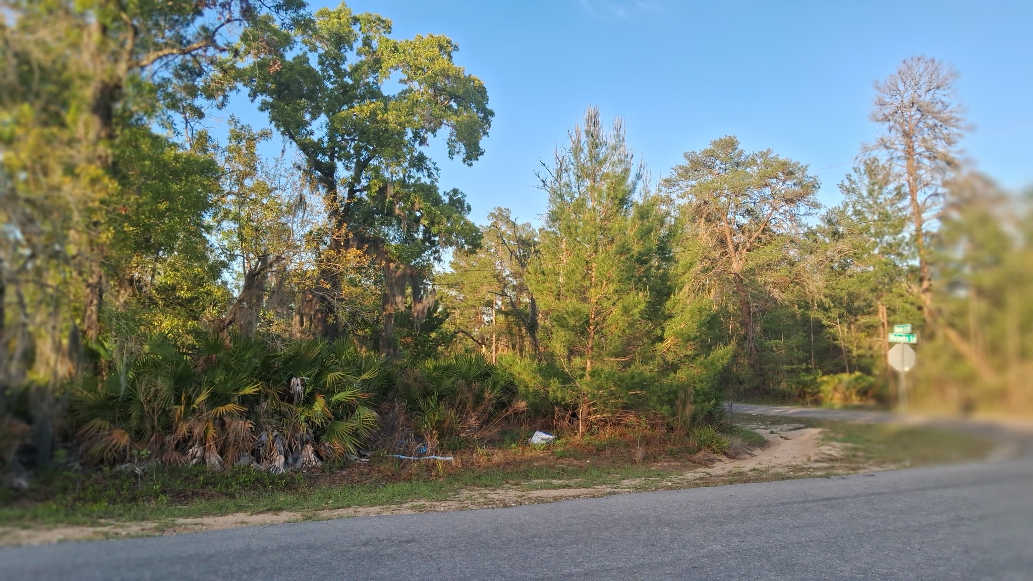 Malauka Lane Drive location view 3