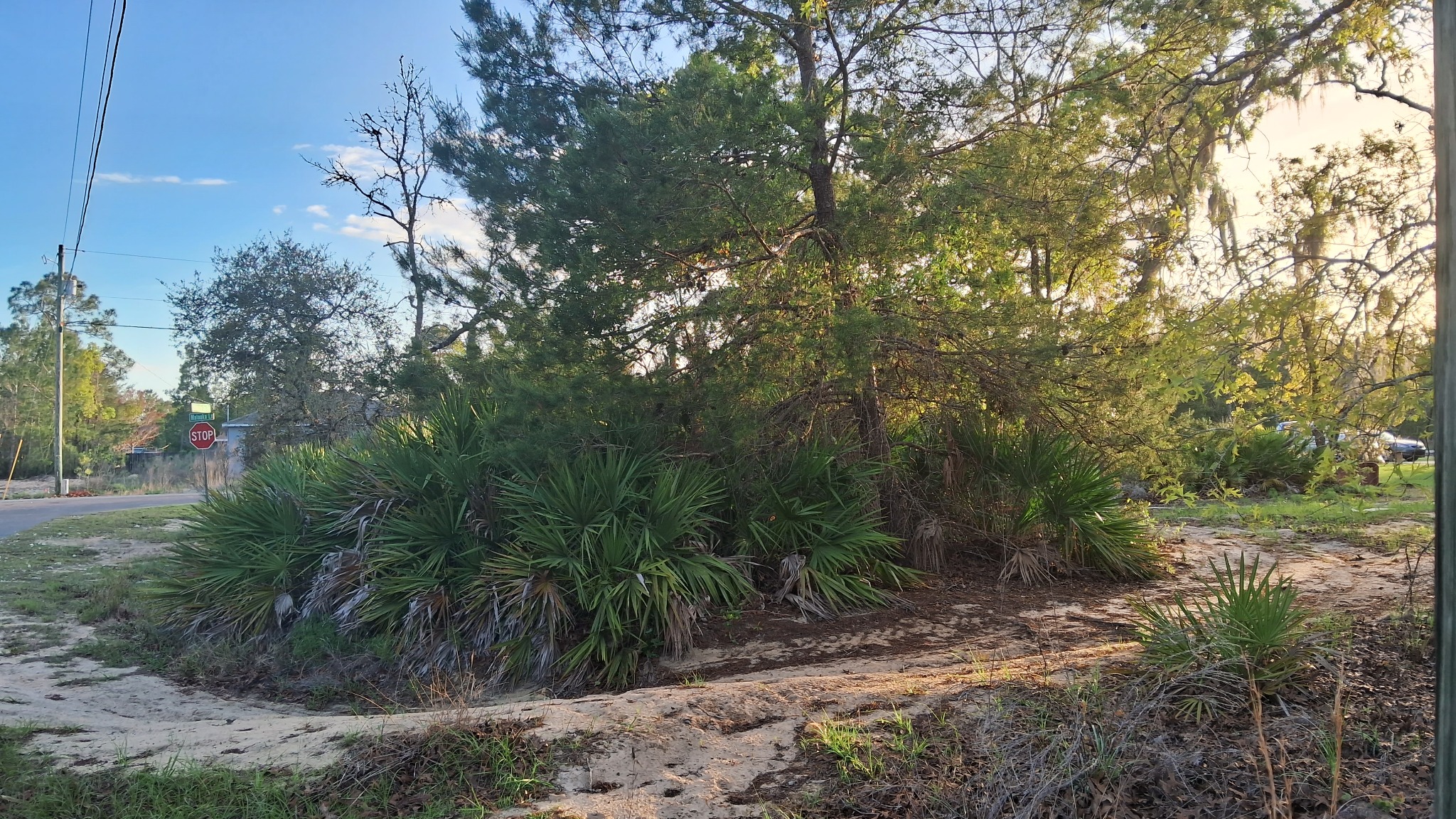 Malauka Lane Drive location view 4