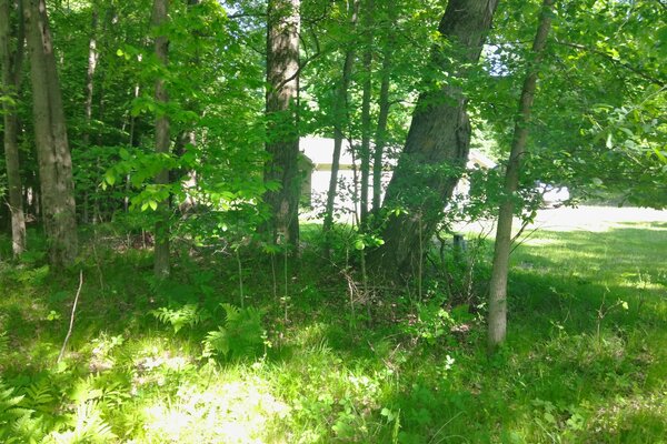 Maple Drive location view 4