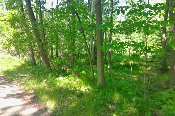 Maple Drive location view 7