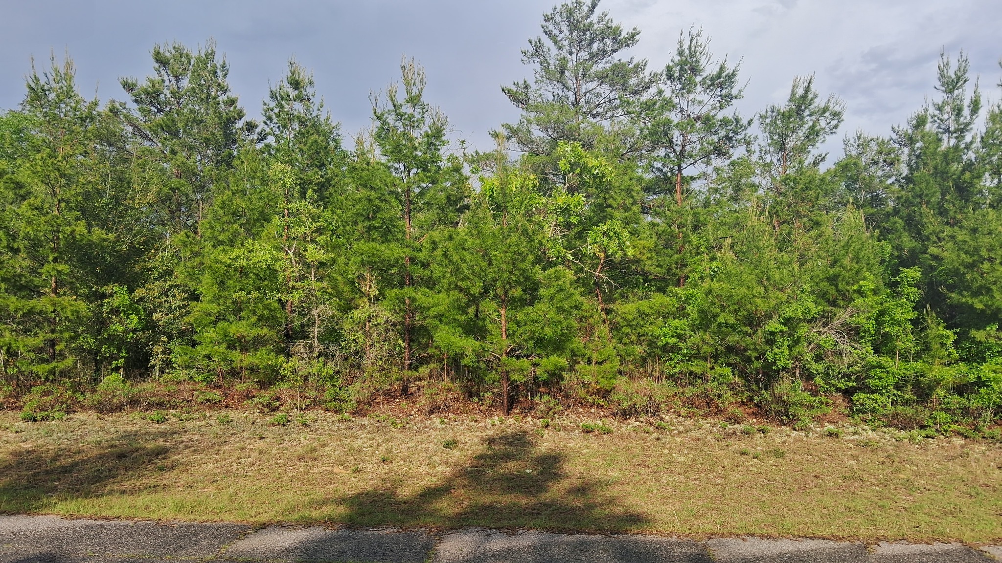 Parkview Drive location view 4