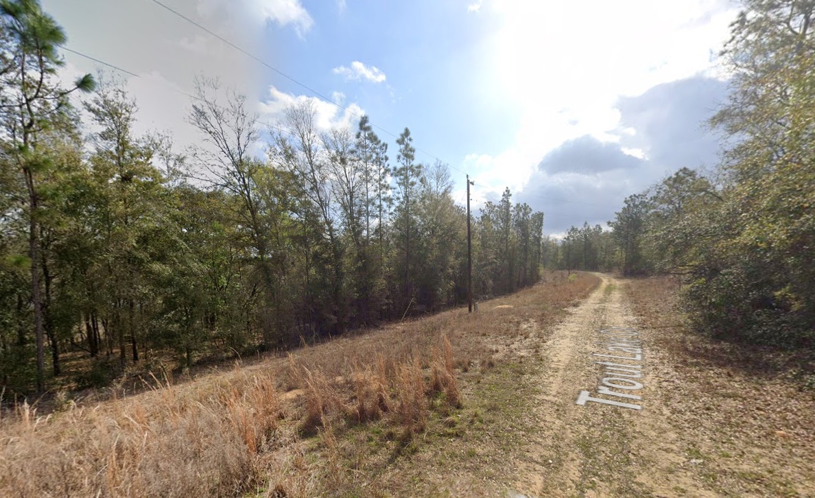 Trout Lake Circle location view 2