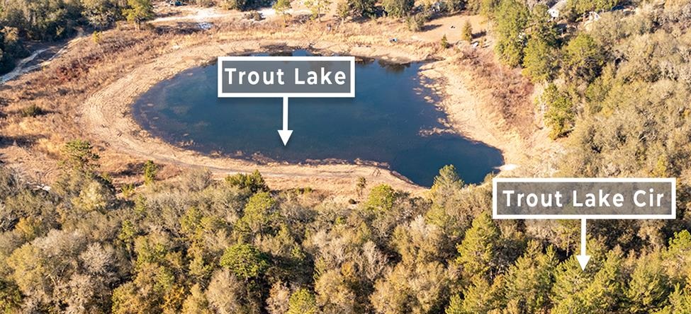 Trout Lake Circle location view 4