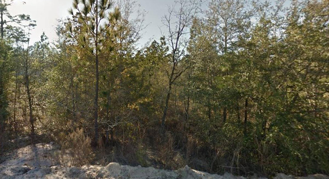 Trout Lake Circle location view 5
